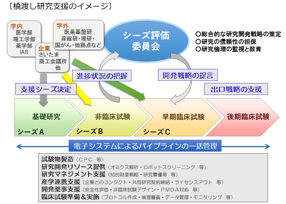 橋渡し研究支援のイメージ.png