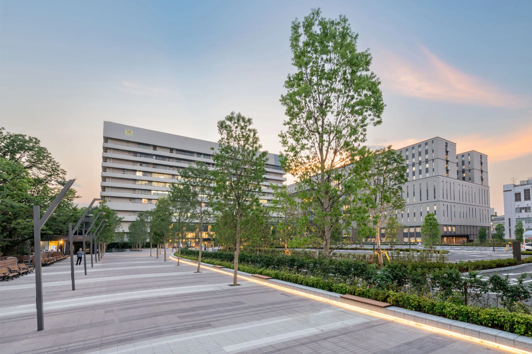 昼間の病院の外観