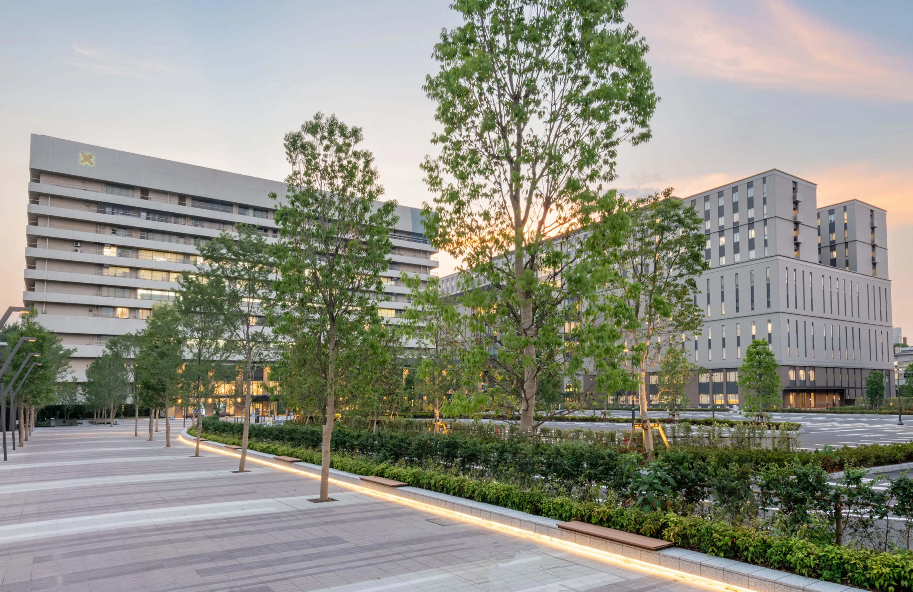 昼間の病院の外観