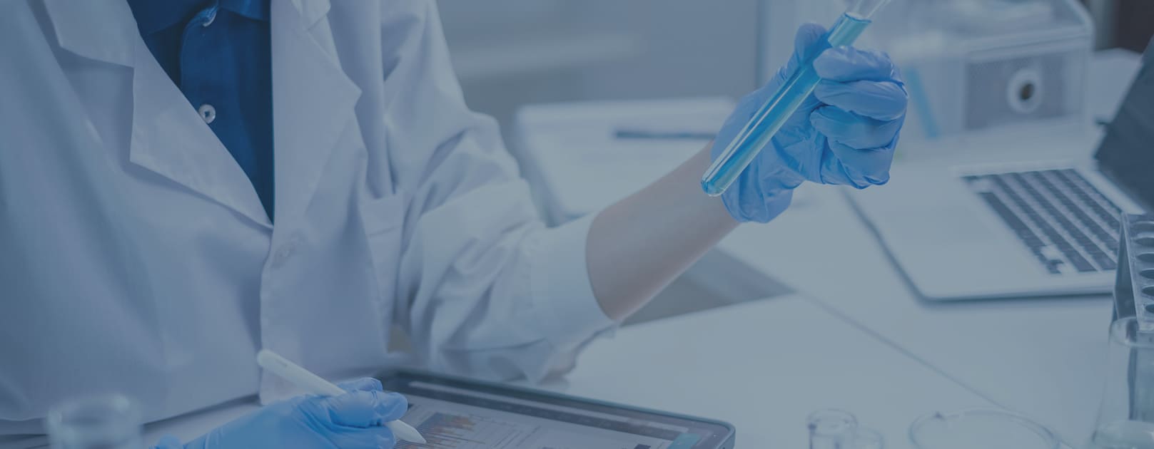 研究をしている様子