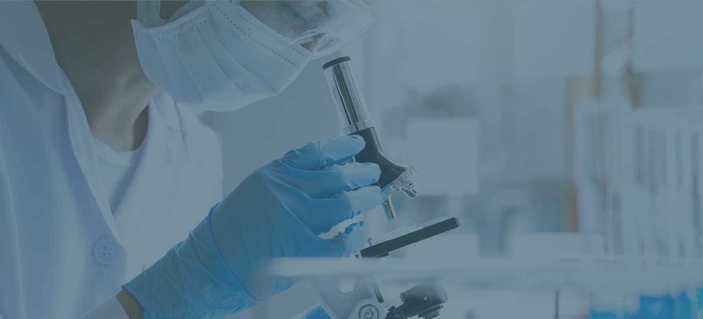 研究している様子